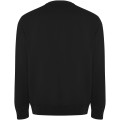 Batian unisex crewneck sweater