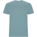 Stafford short sleeve kids t-shirt