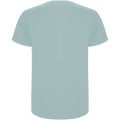 Stafford short sleeve kids t-shirt