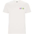 Stafford short sleeve kids t-shirt