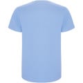 Stafford short sleeve kids t-shirt