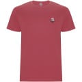 Stafford short sleeve kids t-shirt