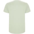 Stafford short sleeve kids t-shirt