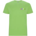 Stafford short sleeve kids t-shirt