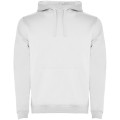 Urban men's hoodie