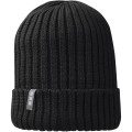 Ives organic beanie