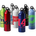 Oregon 770 ml aluminium water bottle with carabiner