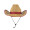 Cowboy Hat , Replica Stetson