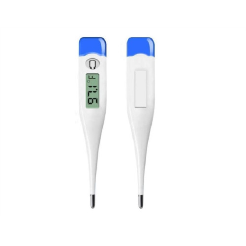 Digital Farenheit Thermometer