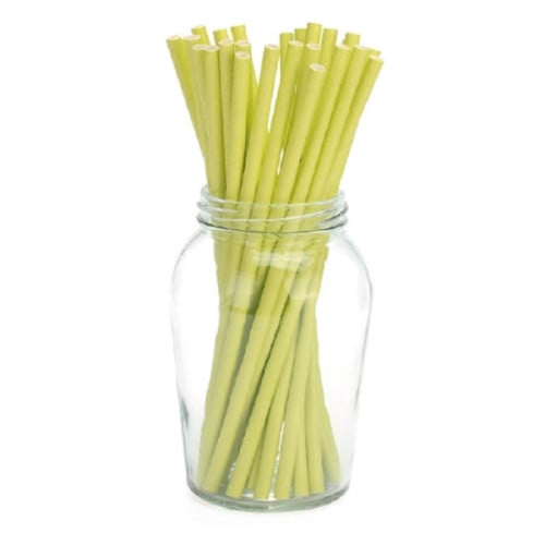 Bamboo Straw