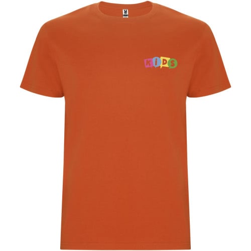 Stafford short sleeve kids t-shirt