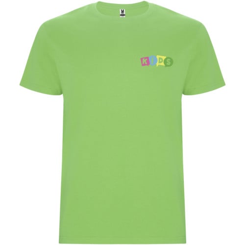 Stafford short sleeve kids t-shirt