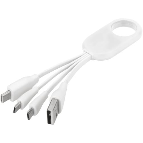 Troup 4-in-1 charging cable with type-C tip