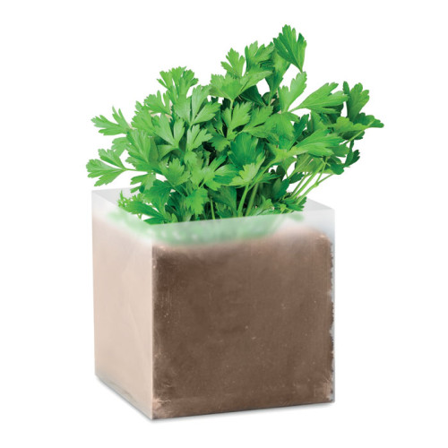 Garden Accessories