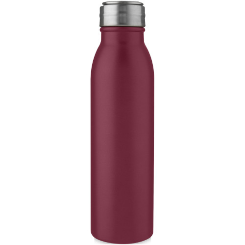 Harper 700 ml stainless steel water bottle with metal loop