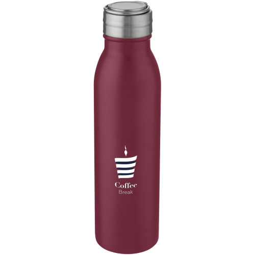 Harper 700 ml stainless steel water bottle with metal loop