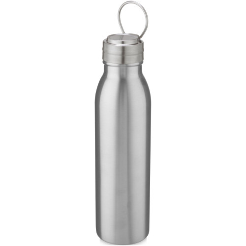 Harper 700 ml stainless steel water bottle with metal loop