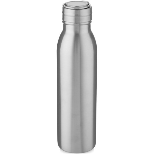 Harper 700 ml stainless steel water bottle with metal loop